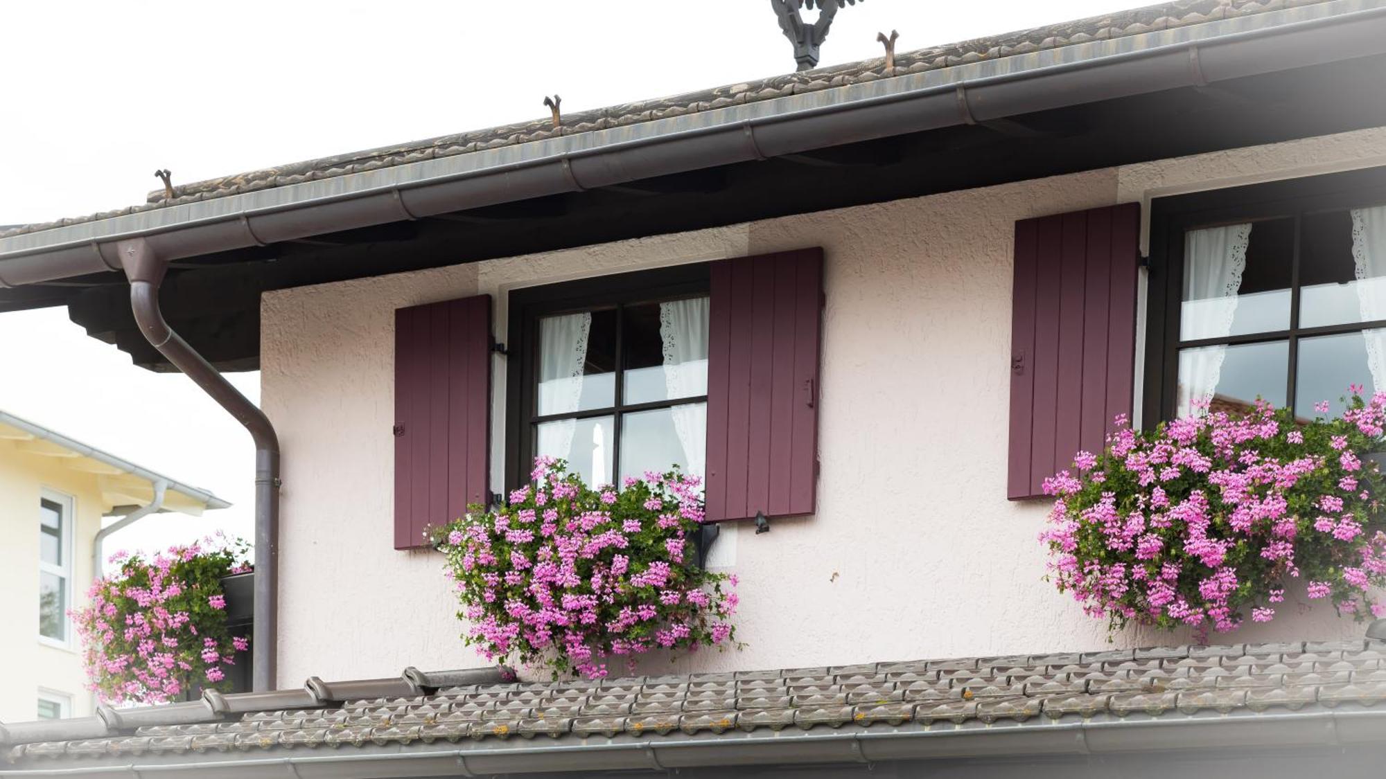 Gaestehaus Sattlerhof Bernau am Chiemsee Exterior foto